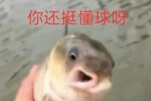 该退休了？帕金斯：莱利每年休赛期都想钓鲸鱼 最后只钓上来鲈鱼