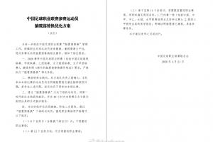 脑震荡换人滥用在中甲、中乙屡见不鲜，新方案方向正确但不够系统